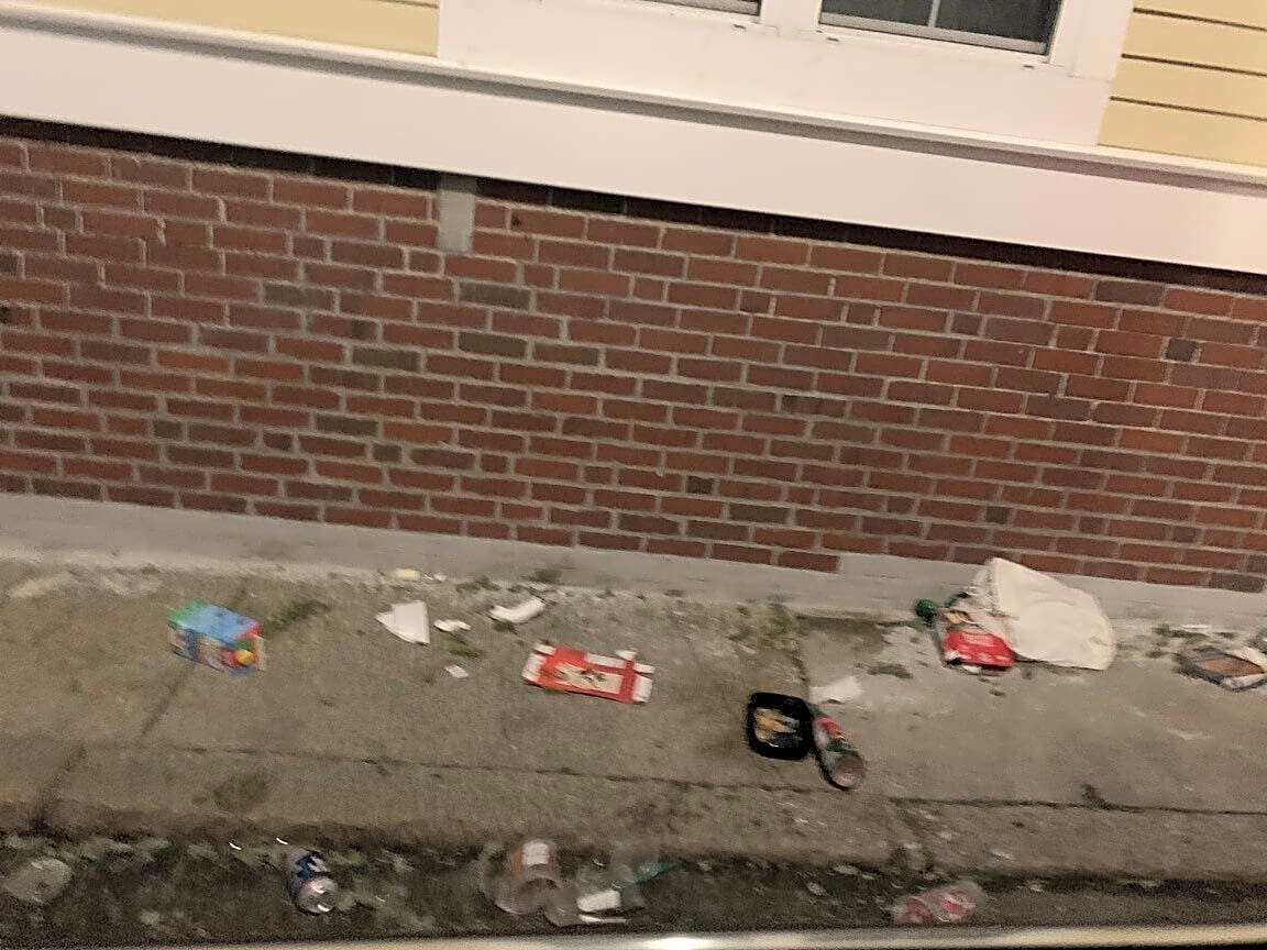 Image submitted with report