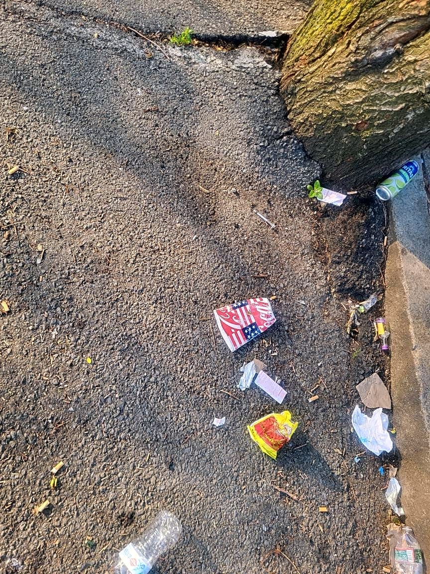 Image submitted with report