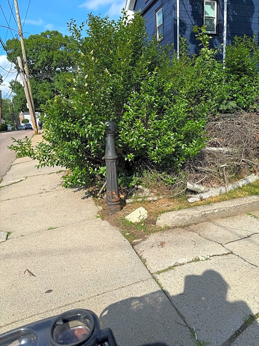 Image submitted with report