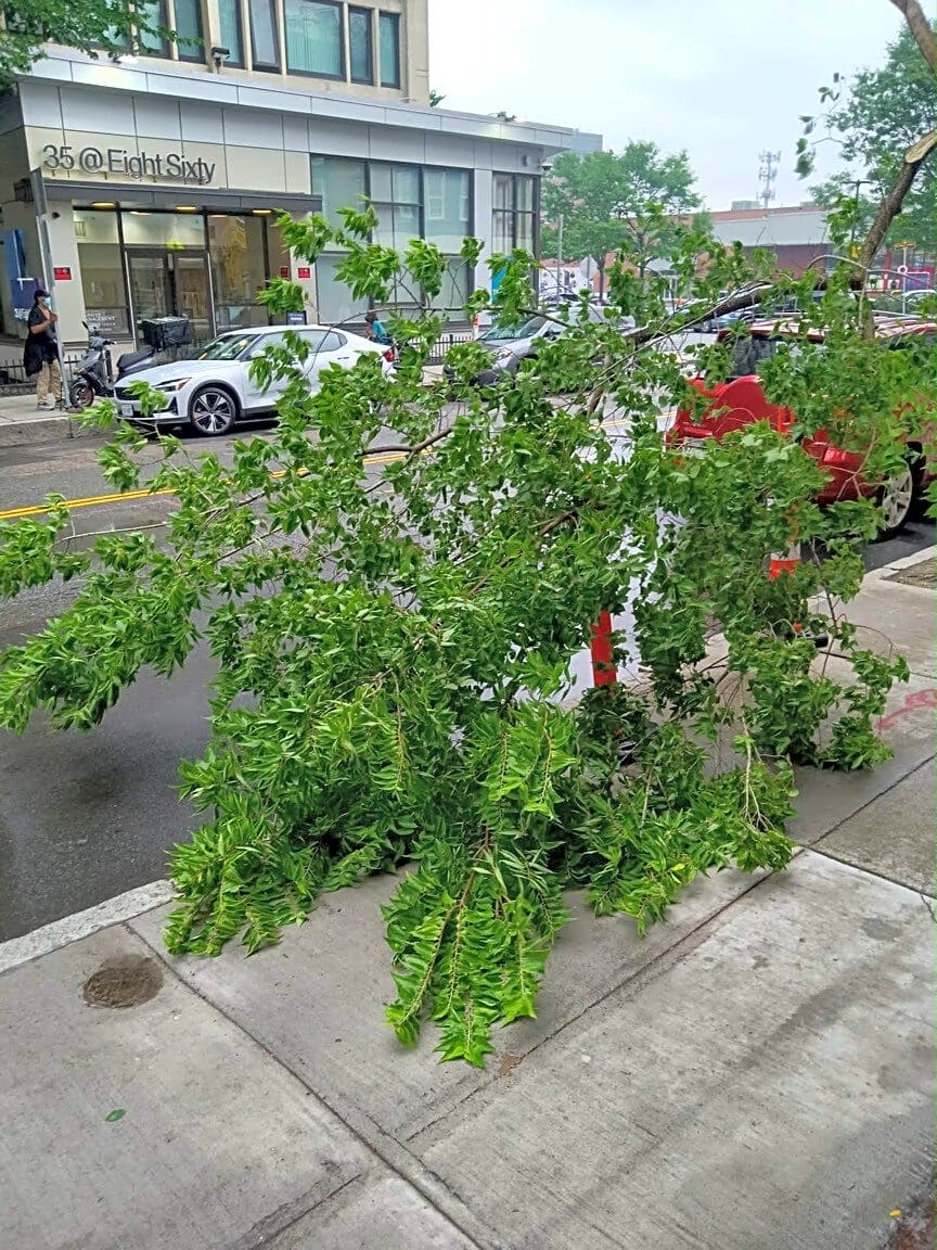Image submitted with report