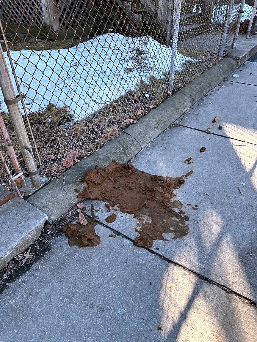 Image submitted with report