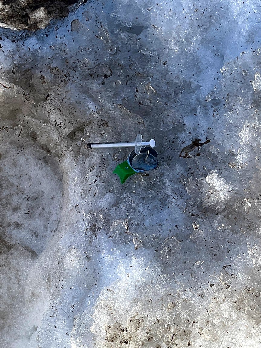 Image submitted with report