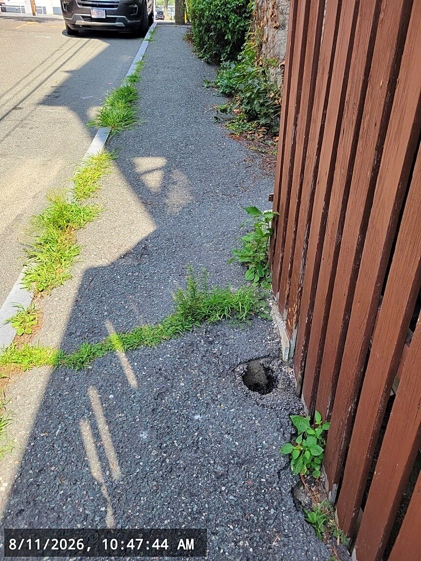 Image submitted with report
