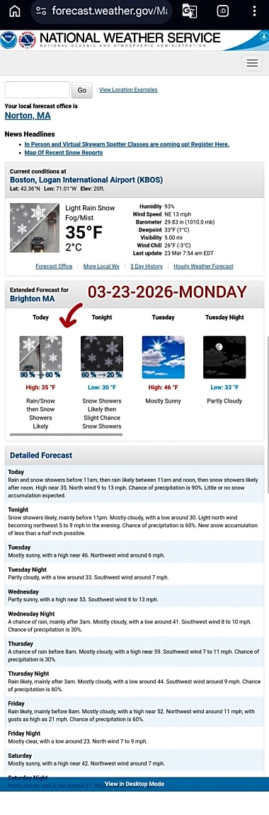 Image submitted with report