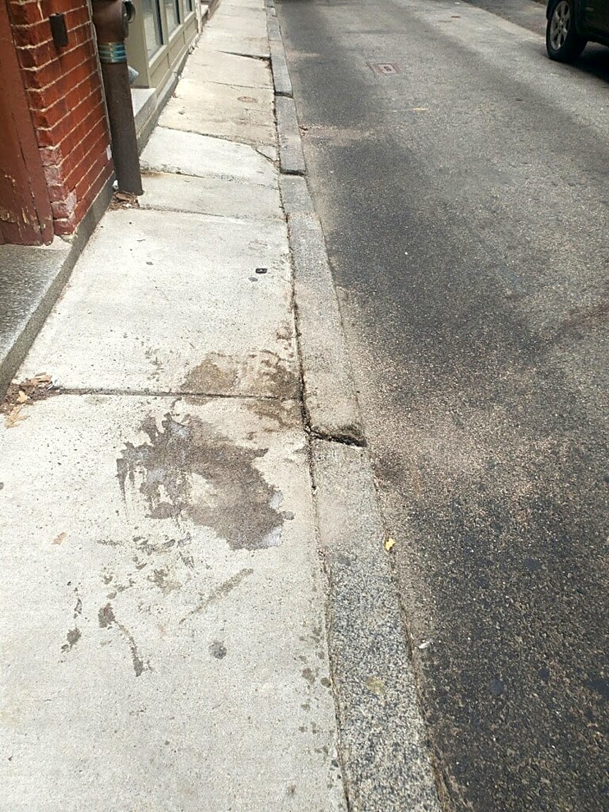 Image submitted with report