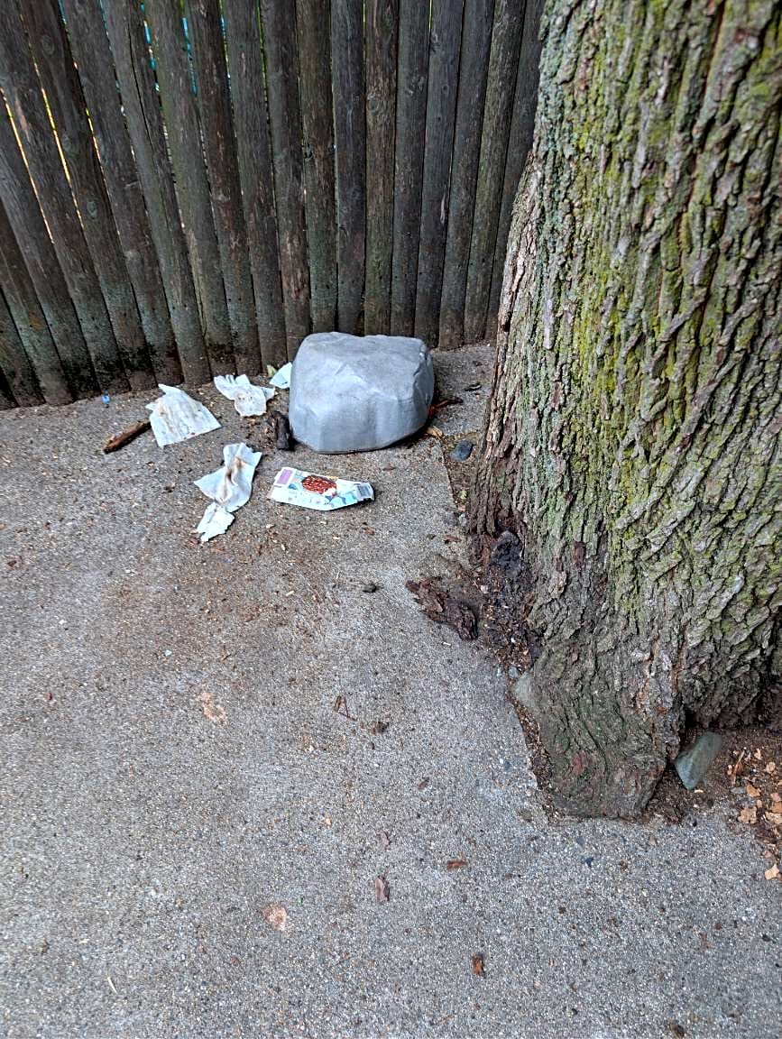 Image submitted with report