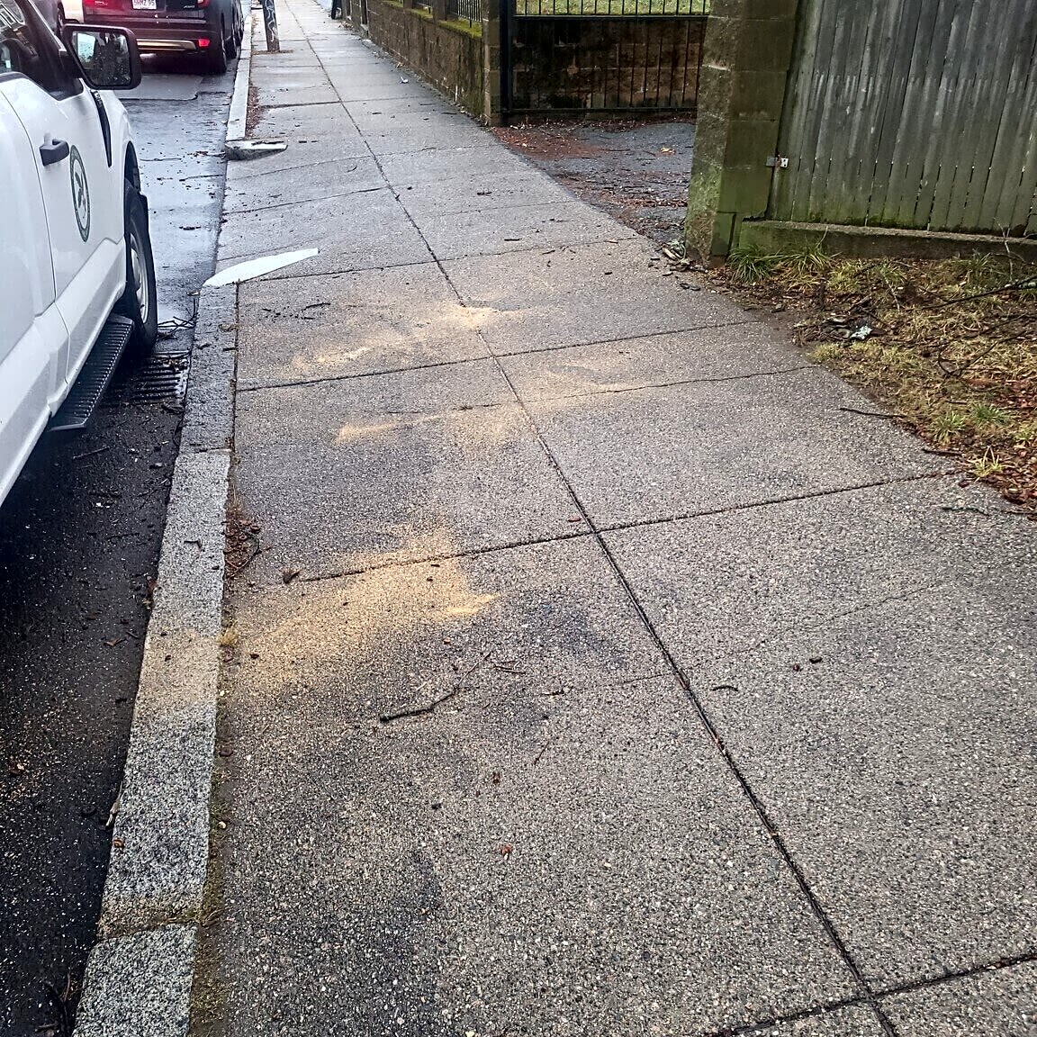 Image submitted with report