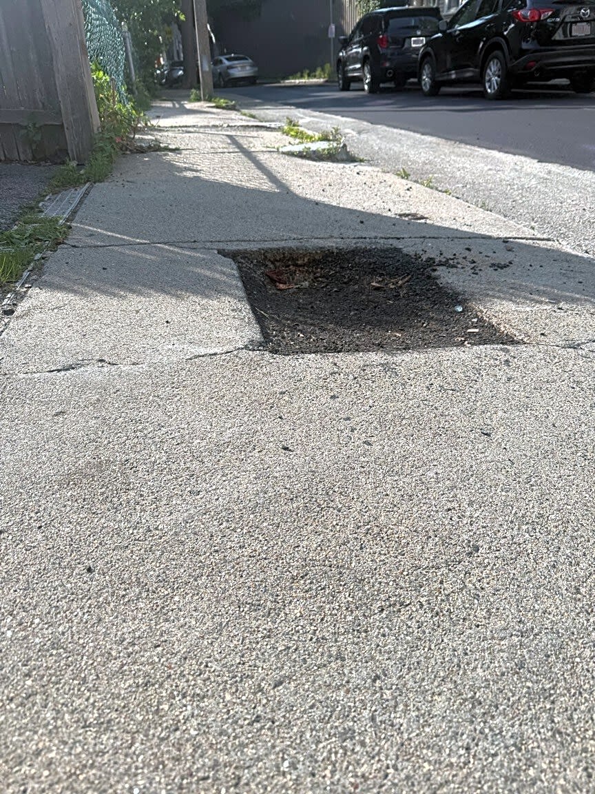 Image submitted with report