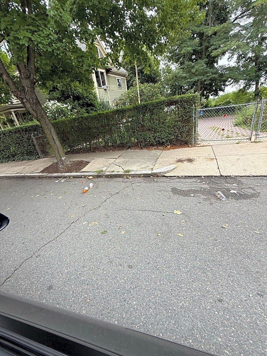 Image submitted with report