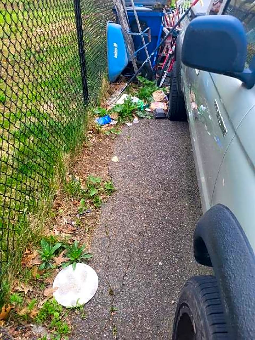 Image submitted with report