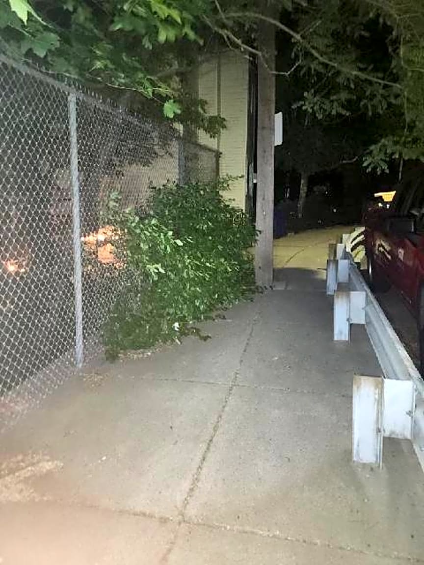 Image submitted with report