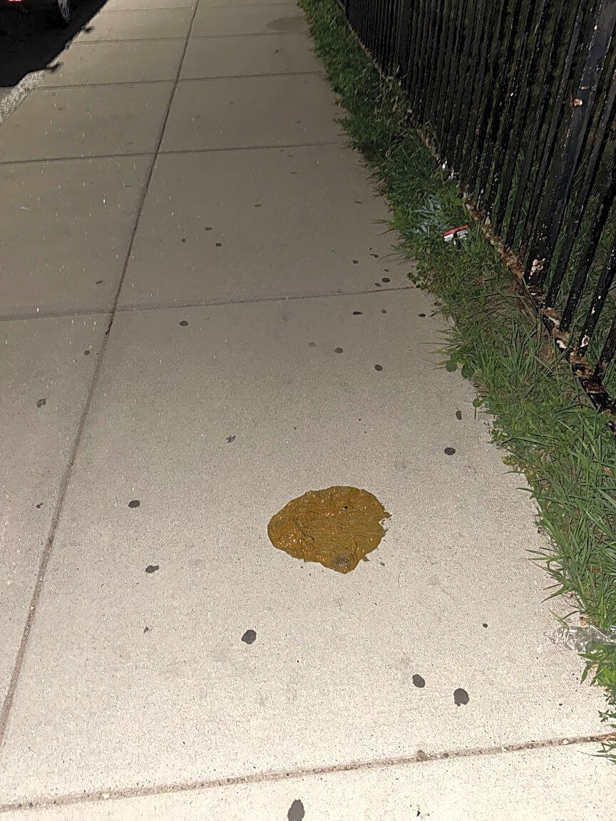 Image submitted with report