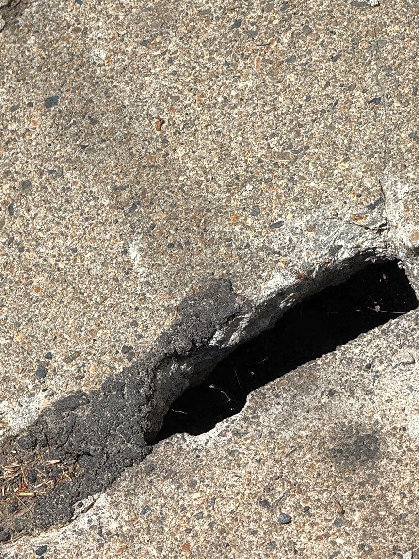 Image submitted with report