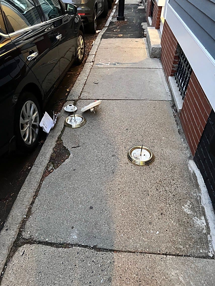 Image submitted with report