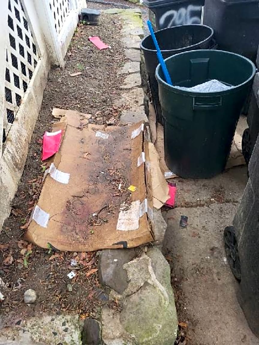 Image submitted with report