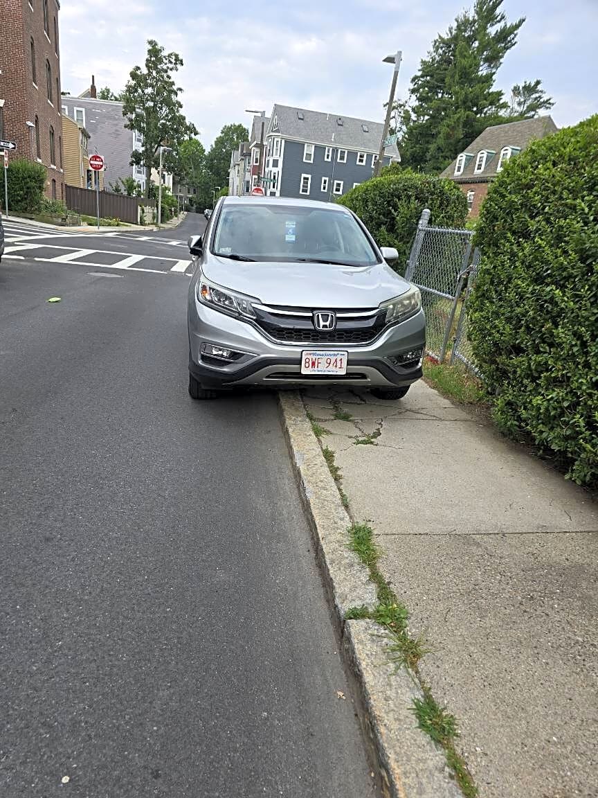 Image submitted with report