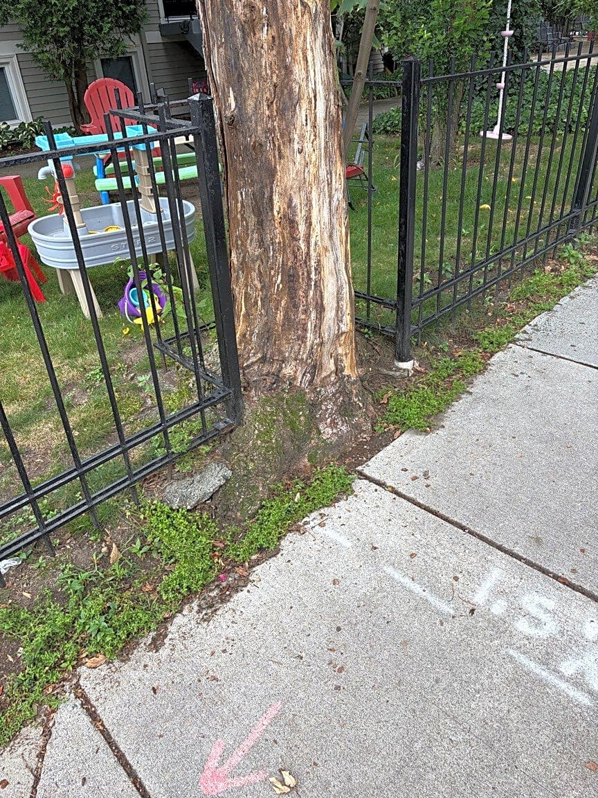 Image submitted with report