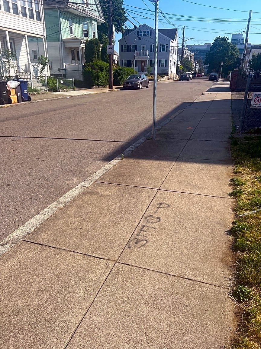 Image submitted with report