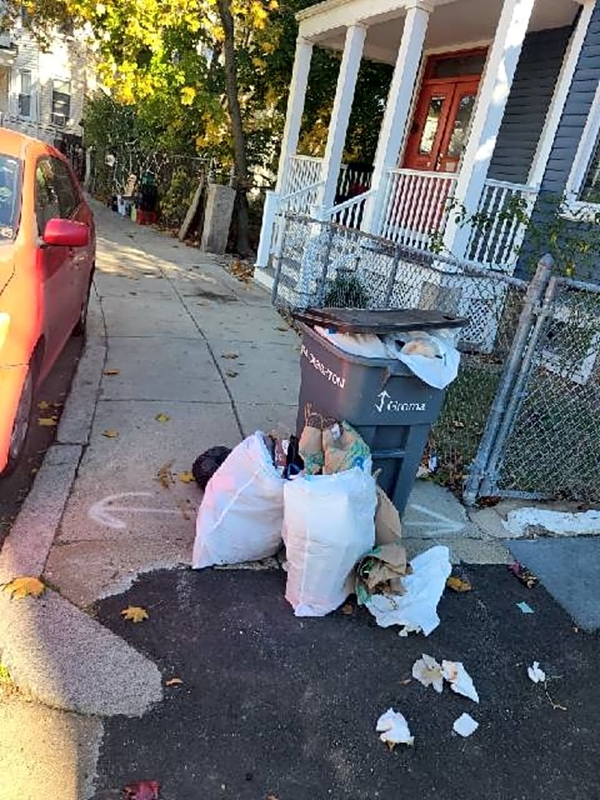 Image submitted with report