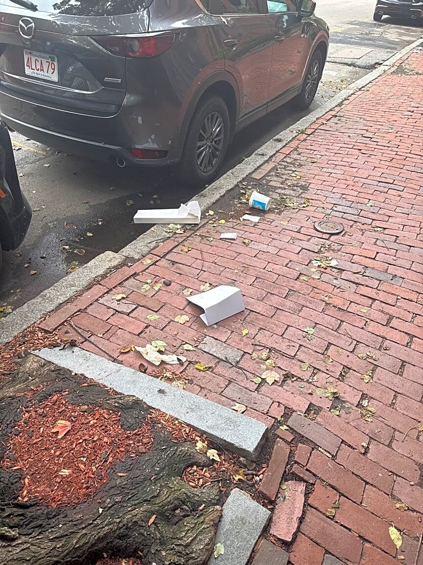 Image submitted with report