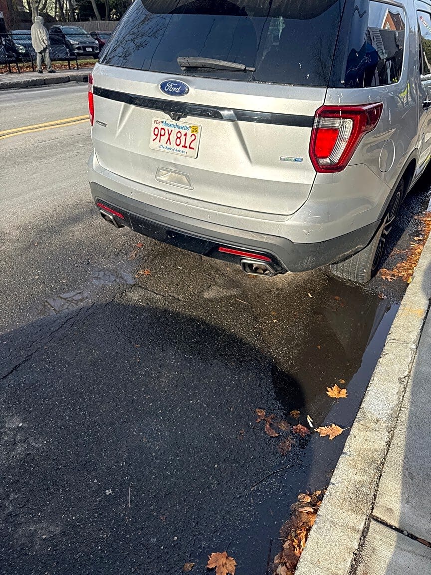 Image submitted with report