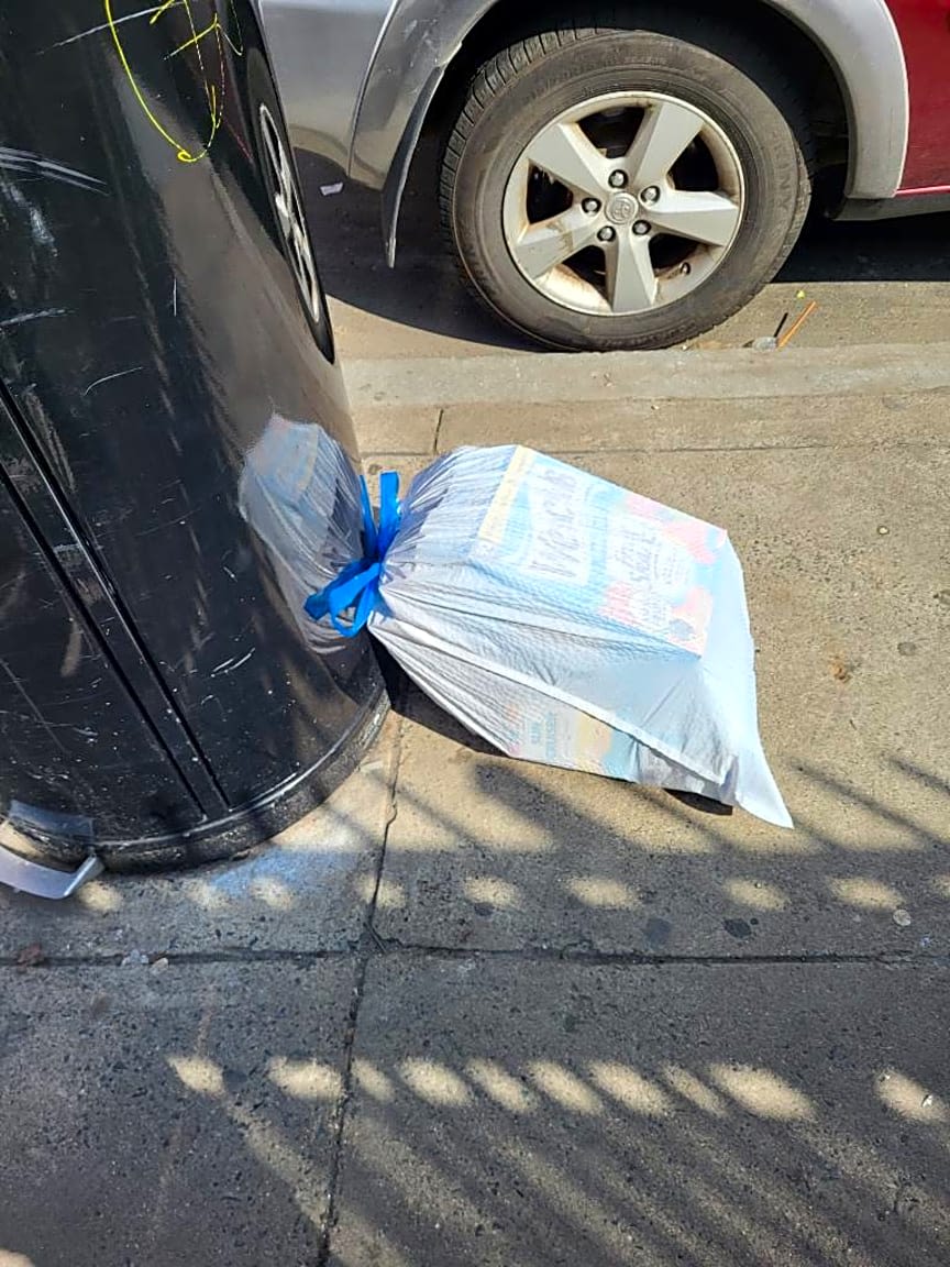 Image submitted with report