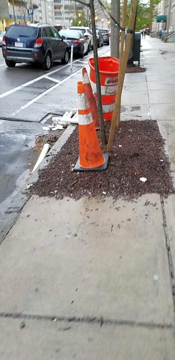 Image submitted with report