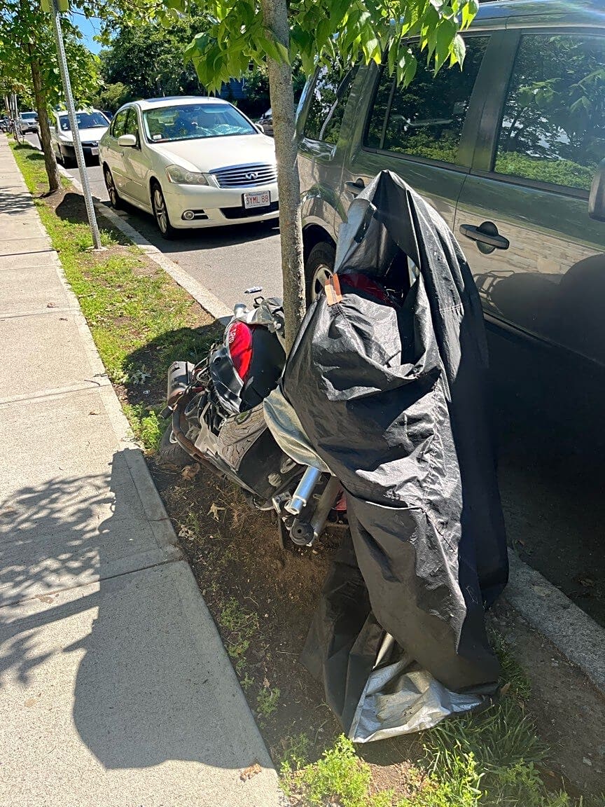Image submitted with report