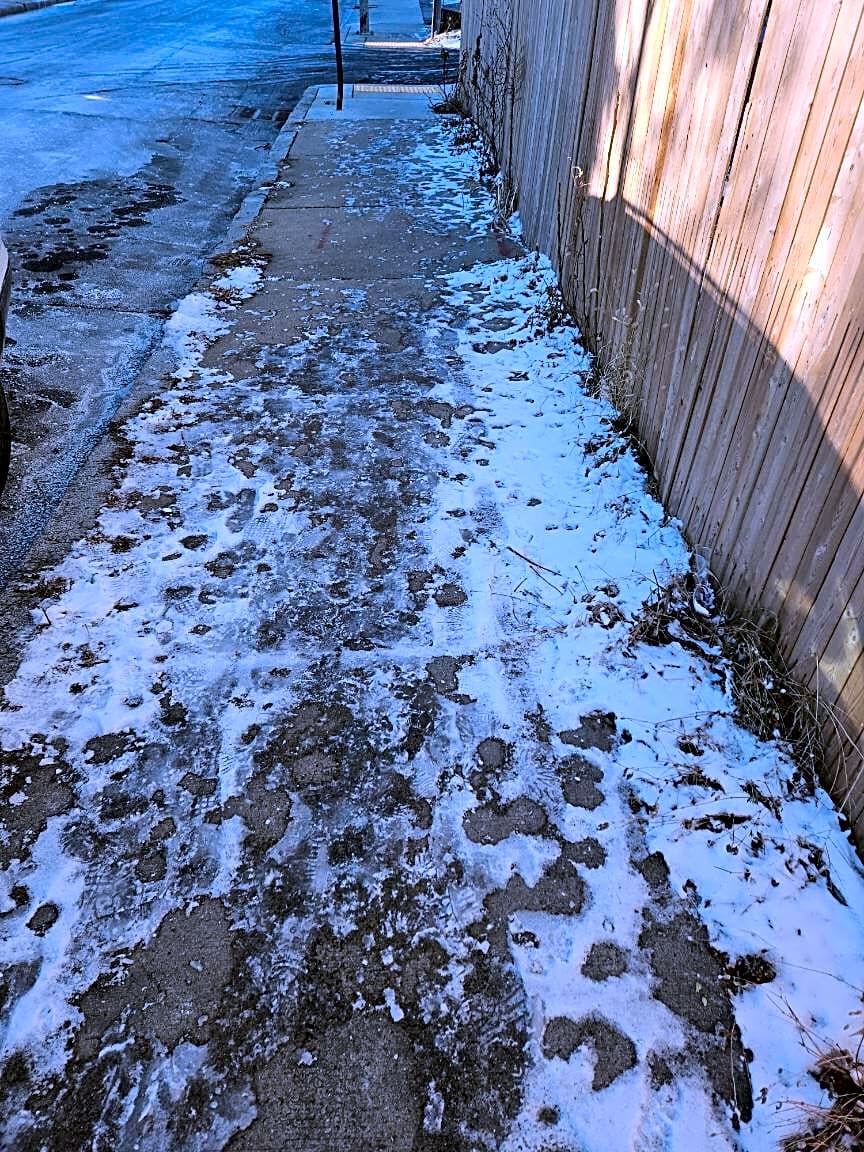 Image submitted with report