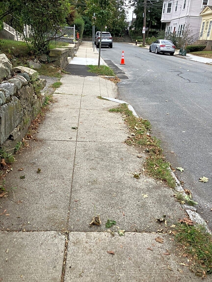 Image submitted with report