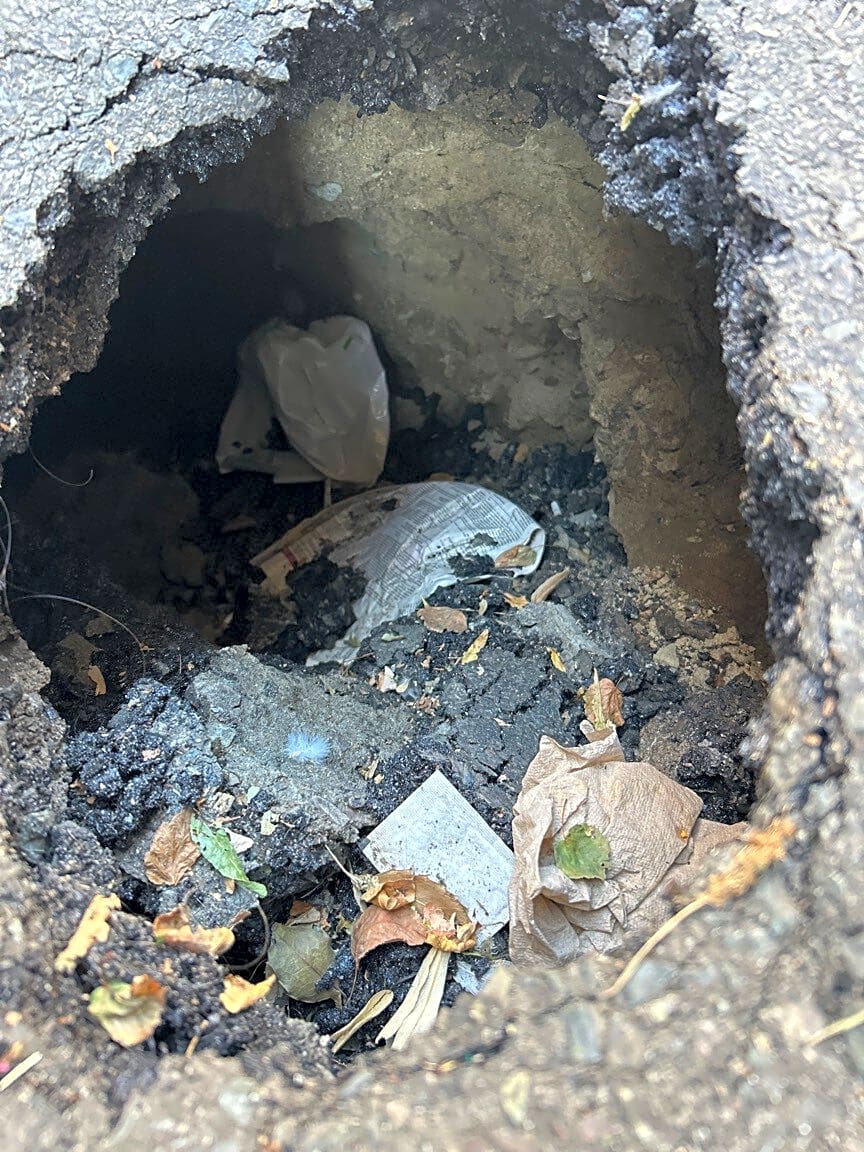 Image submitted with report