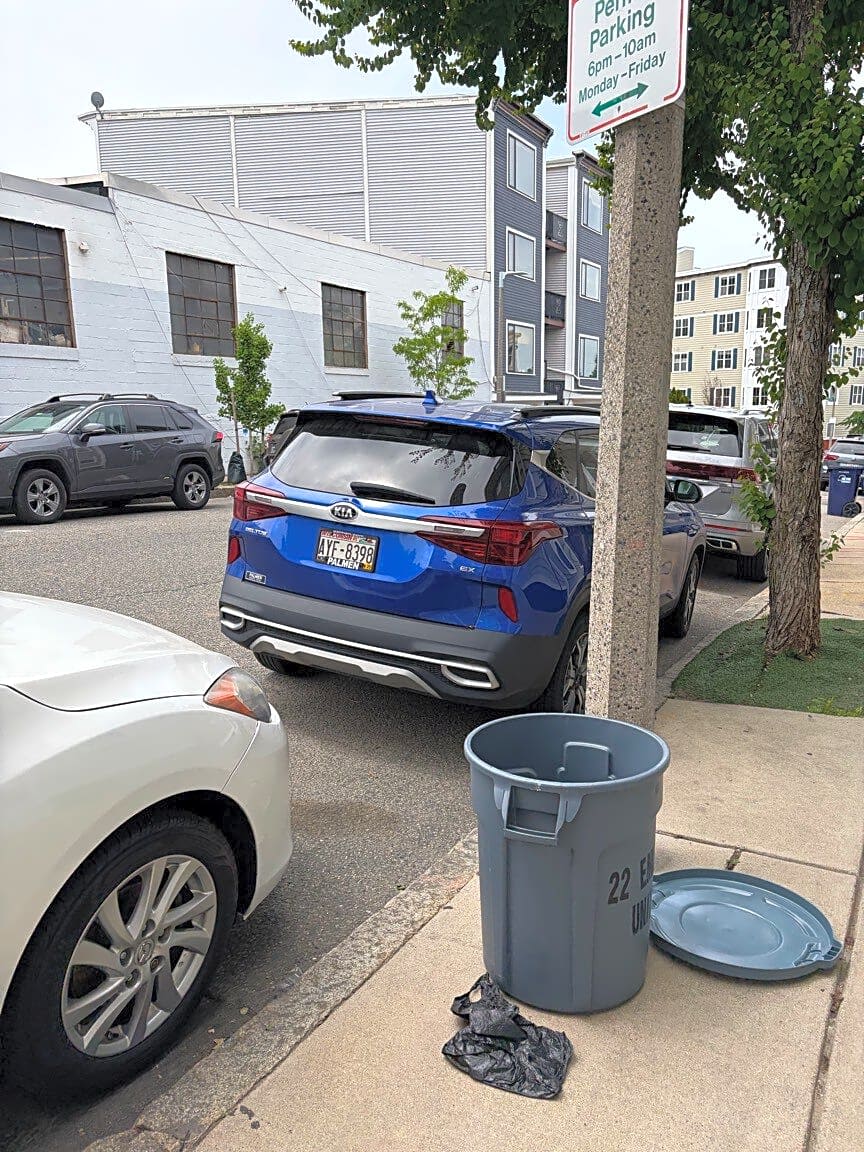 Image submitted with report