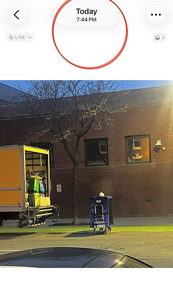 Image submitted with report