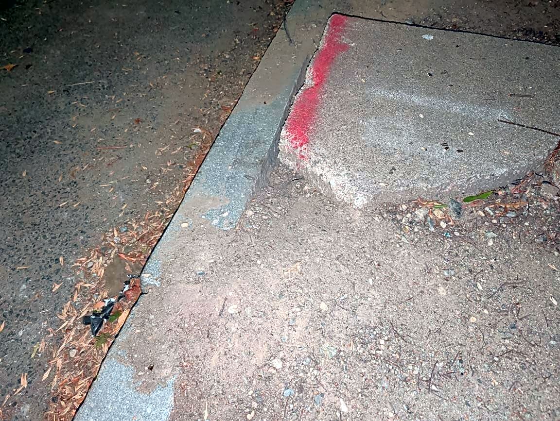 Image submitted with report