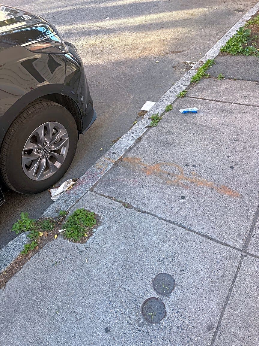 Image submitted with report