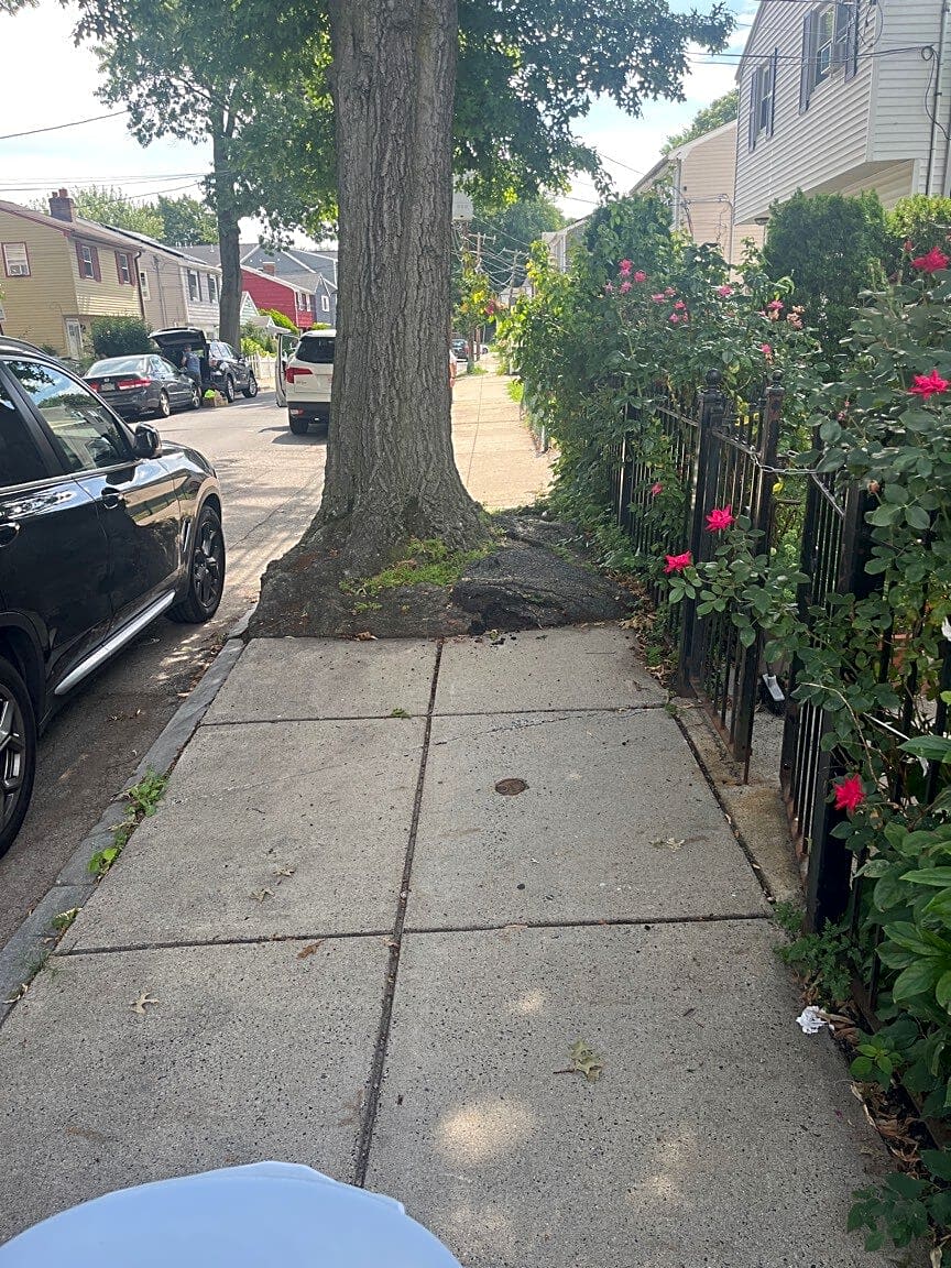 Image submitted with report