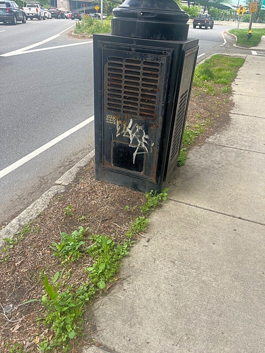 Image submitted with report