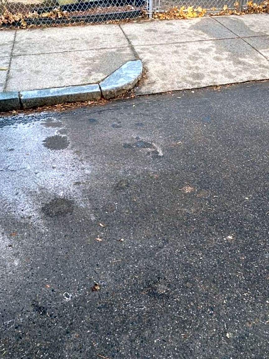 Image submitted with report