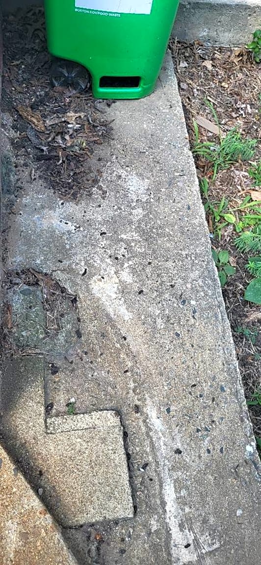 Image submitted with report