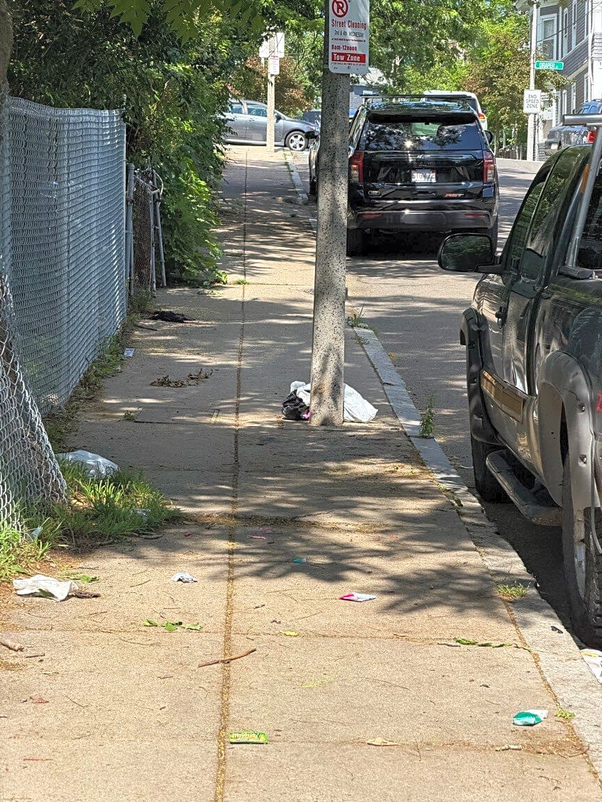Image submitted with report