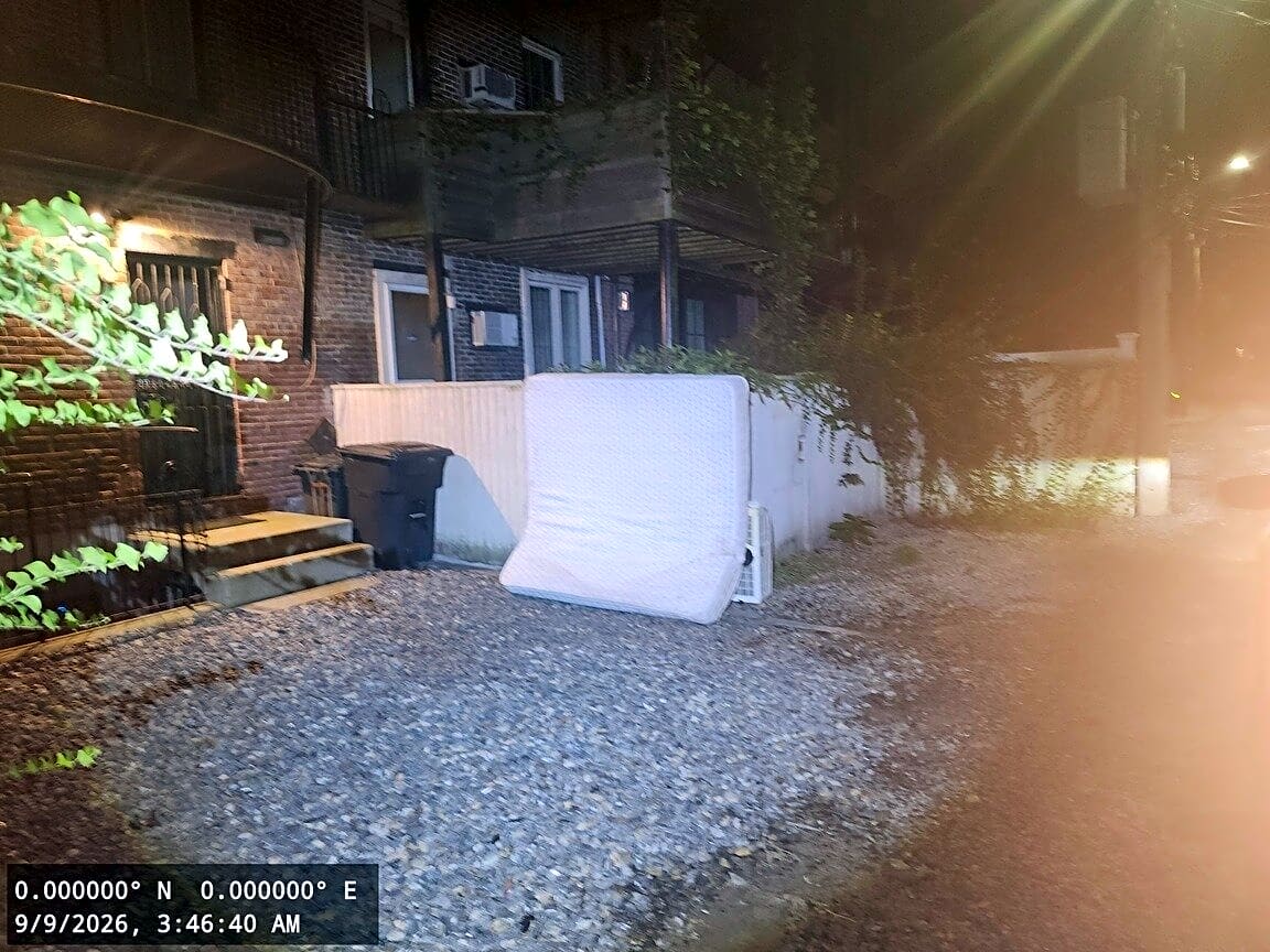 Image submitted with report