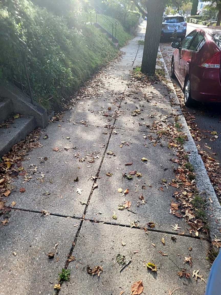 Image submitted with report