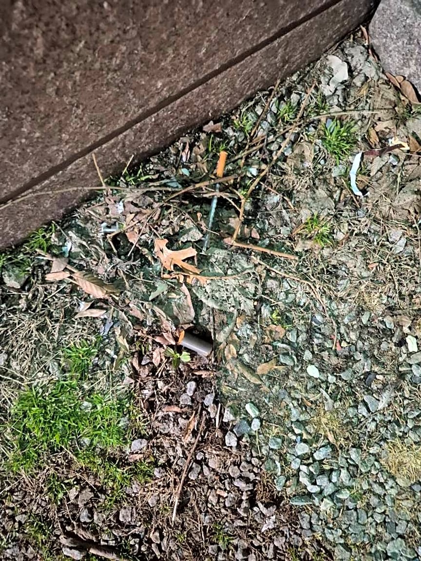 Image submitted with report