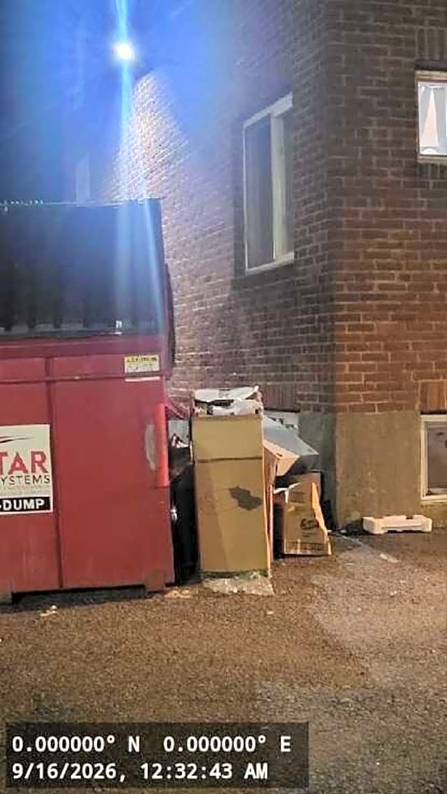 Image submitted with report