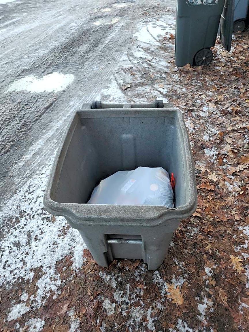 Image submitted with report