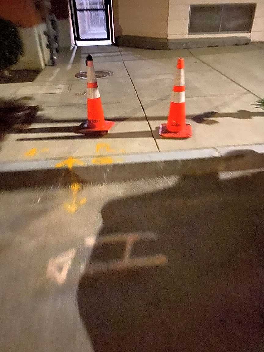 Image submitted with report