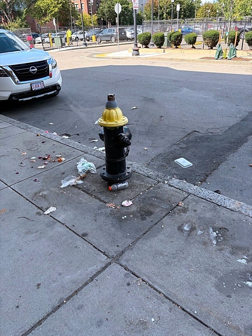 Image submitted with report