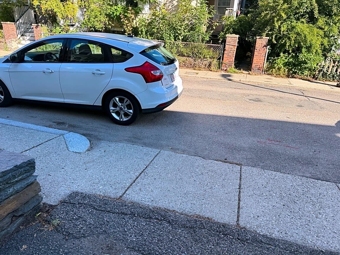 Image submitted with report