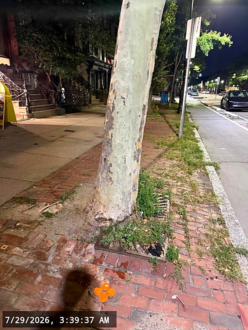 Image submitted with report