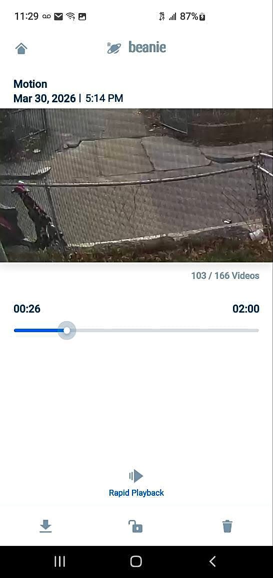 Image submitted with report